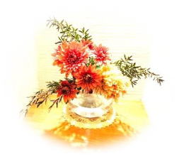 野の花メンタルクリニック