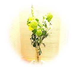 野の花メンタルクリニック