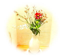 野の花メンタルクリニック