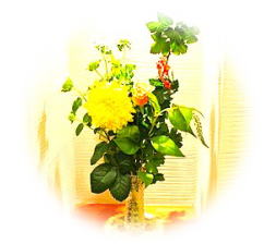 野の花メンタルクリニック