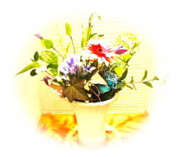 野の花メンタルクリニック